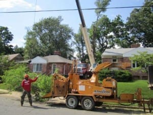 SAB Landscape Tree Service