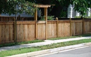 SAB Landscape Tree Service Landscaping