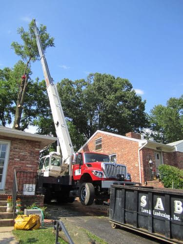 SAB-Landscape-Tree-Service-10