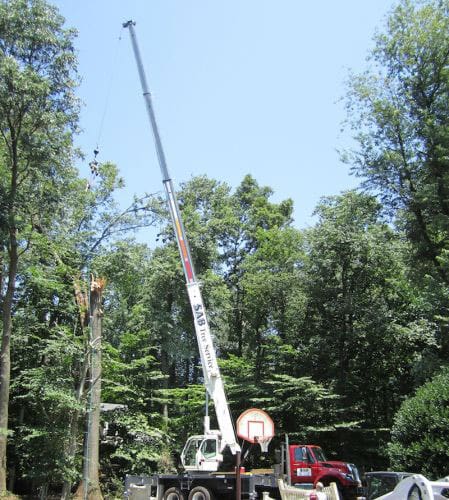 SAB-Landscape-Tree-Service-11