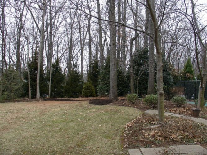 SAB-Landscape-Tree-Service-4