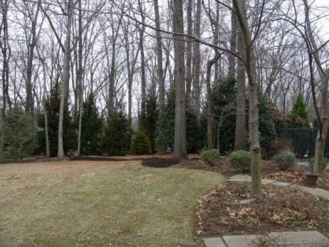 SAB-Landscape-Tree-Service-6