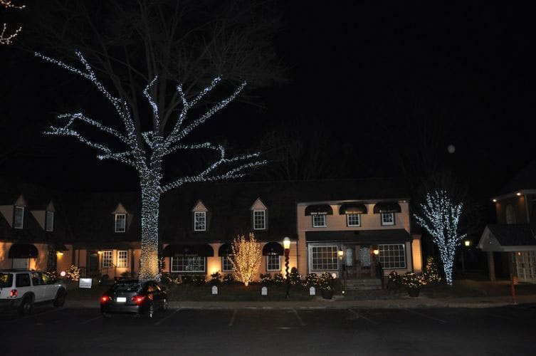 SAB-Landscape-Tree-Service-Christmas-Lights-4