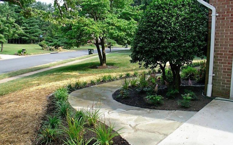SAB-Landscape-Tree-Service-Landscaping-1