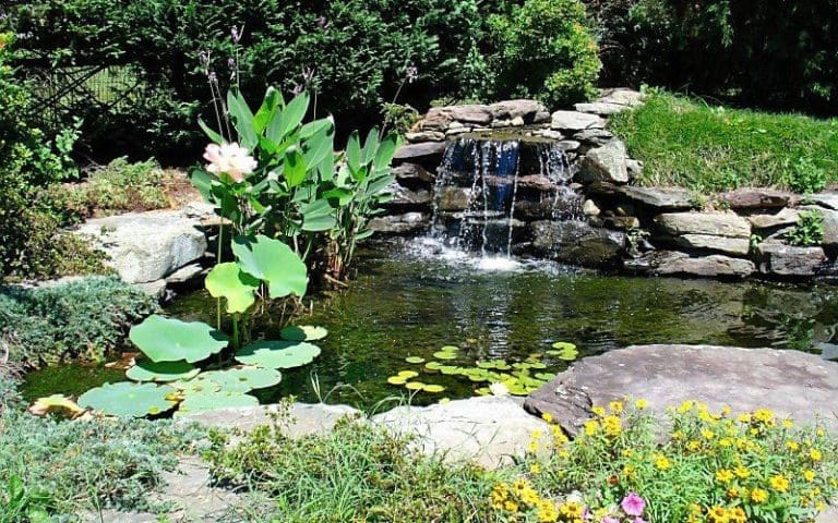 SAB-Landscape-Tree-Service-Landscaping-13