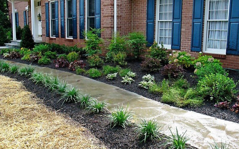 SAB-Landscape-Tree-Service-Landscaping-14
