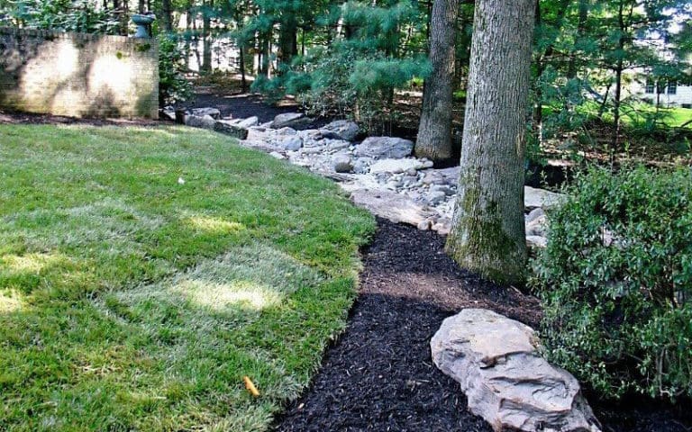 SAB-Landscape-Tree-Service-Landscaping-3 Landscaped Yard