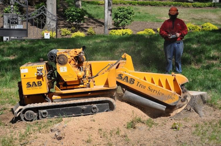 SAB-Landscape-Tree-Service-Stump-Removal-2