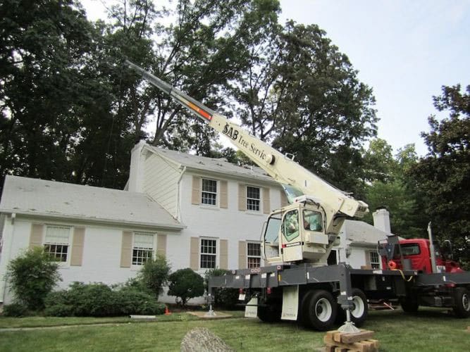 SAB-Landscape-Tree-Service-Swanson-Coleberry